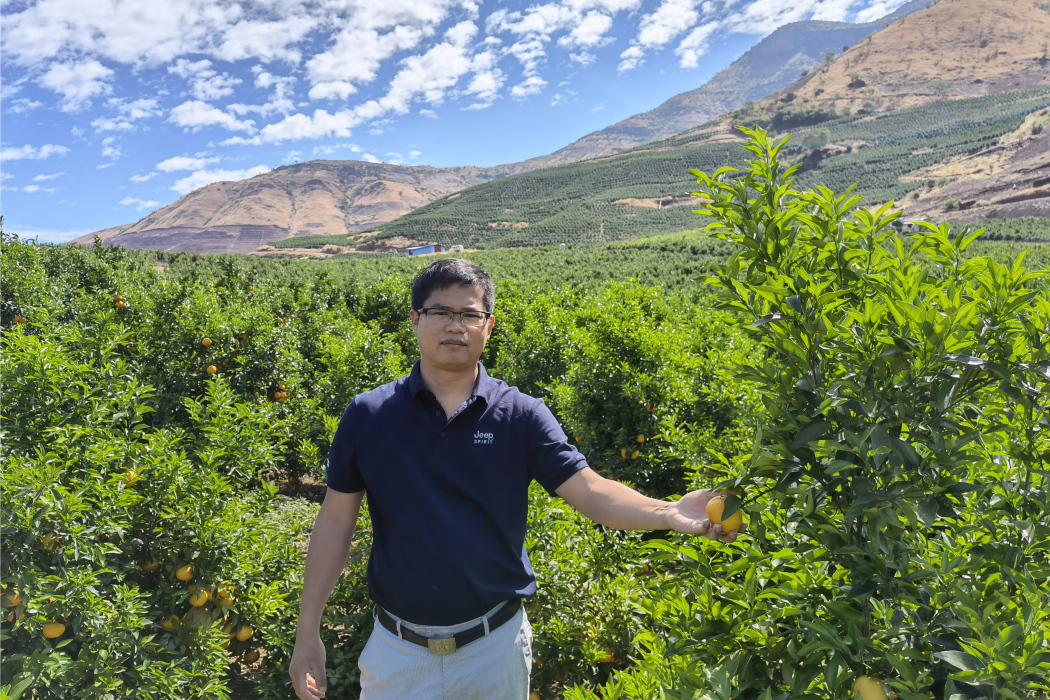 羅增桂 羅增桂