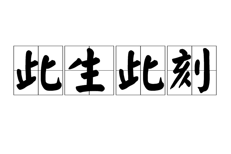 此生此刻 此生此刻