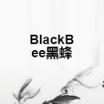 BlackBee黑蜂 BlackBee黑蜂