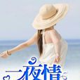 一夜情未了(言情小說) 一夜情未了(言情小說)
