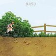 特技腳踏車2 特技腳踏車2