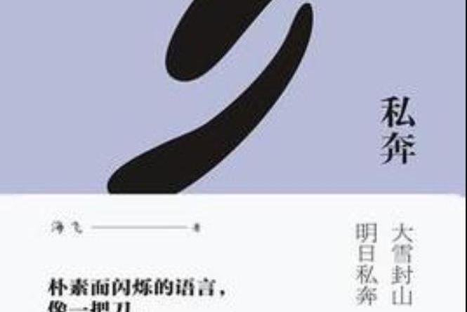 私奔(海飛所著小說) 私奔(海飛所著小說)