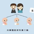 三胎政策 三胎政策