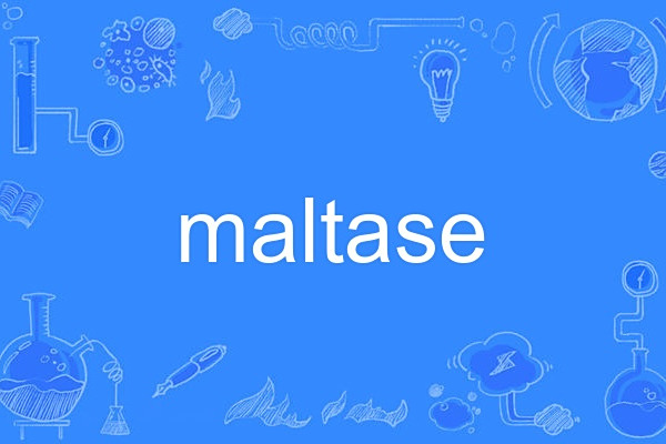 maltase maltase