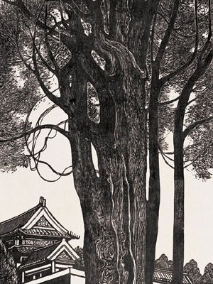故宮樓角 故宮樓角
