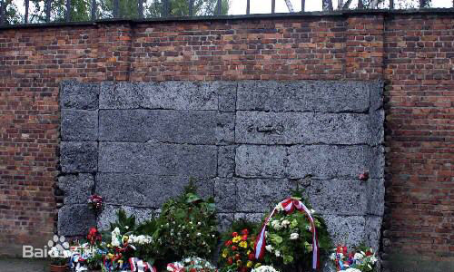 奧斯維辛集中營“死亡之牆”前的鮮花