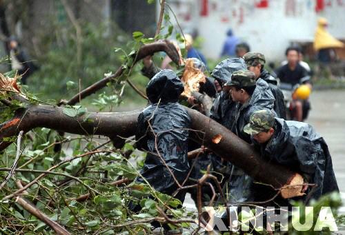 駐軍某部在瓊海市街頭清理被颱風颳倒的大樹