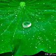 憎水 憎水