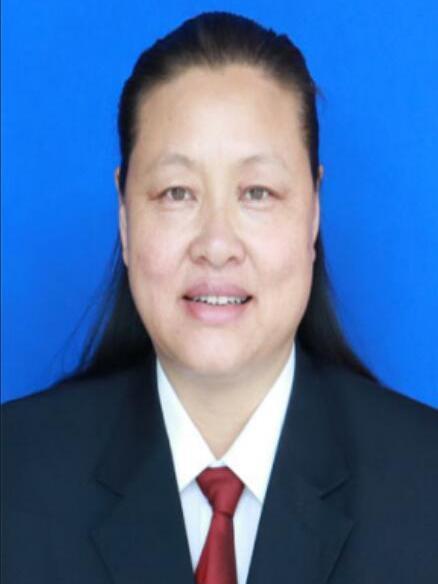 馬麗霞(黑龍江省齊齊哈爾市富裕縣人大常委會黨組成員、副主任) 馬麗霞(黑龍江省齊齊哈爾市富裕縣人大常委會黨組成員、副主任)