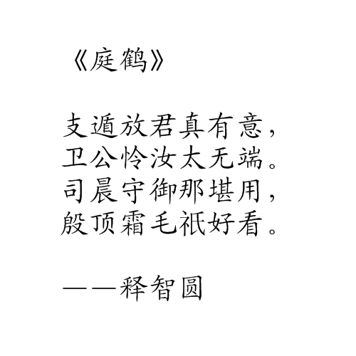 庭鶴 庭鶴