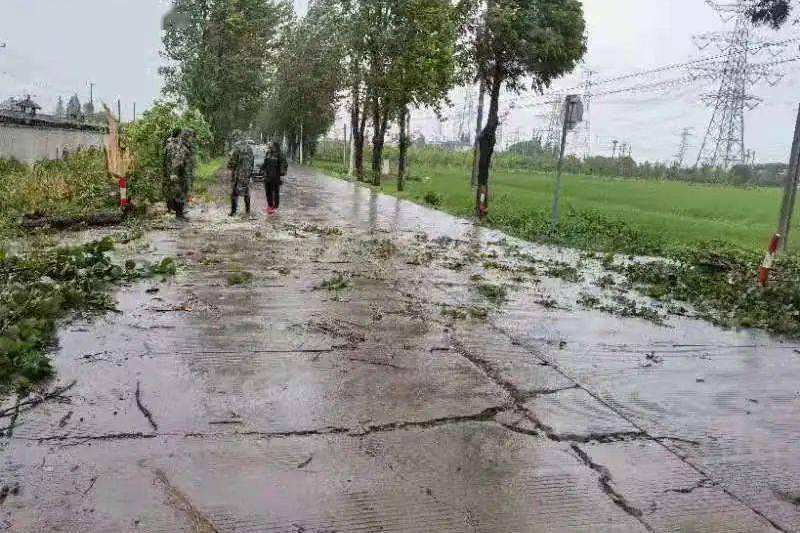 萬楓公路 萬楓公路