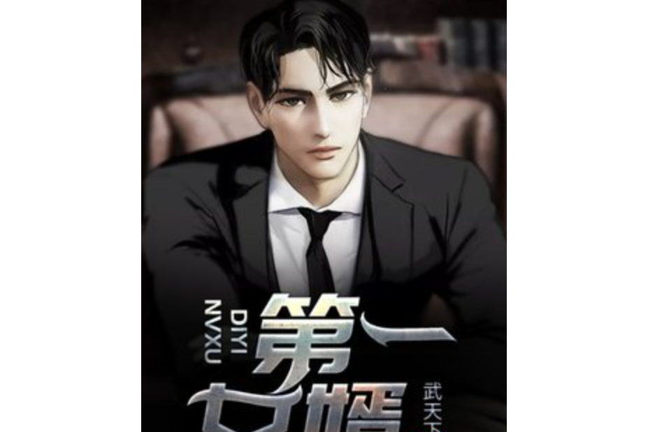 第一女婿(武天下所著小說) 第一女婿(武天下所著小說)