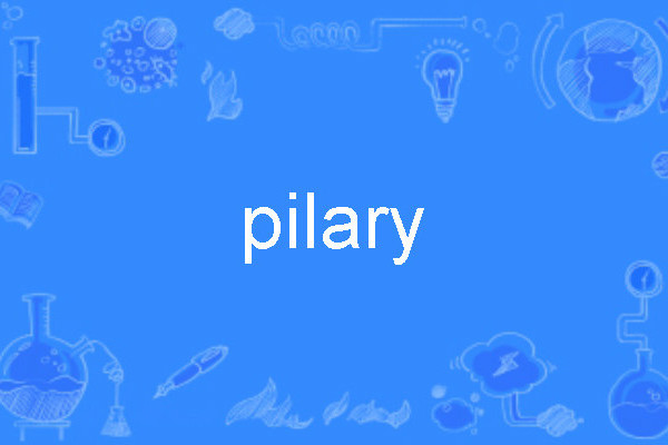 pilary pilary