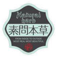 素問本草 素問本草