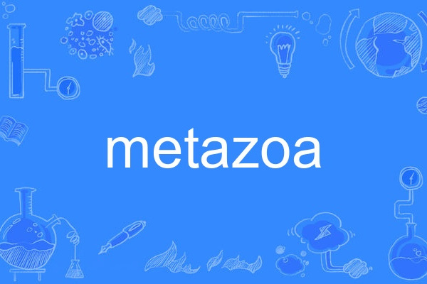 metazoa metazoa