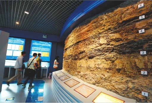 遊覽化石博物館