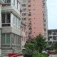 紫蘿園 紫蘿園
