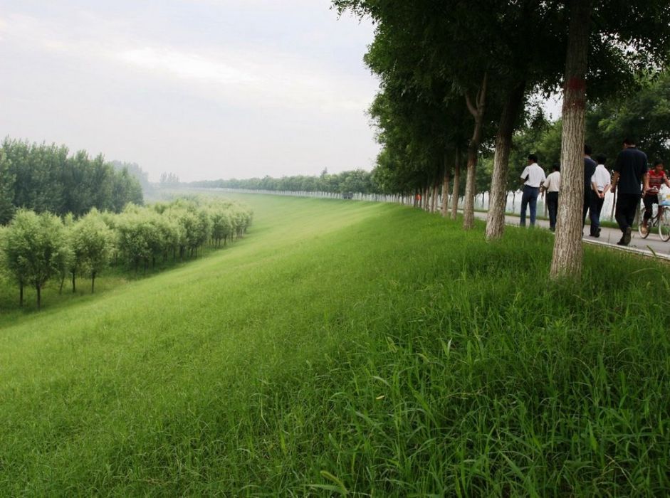 甄台村 甄台村