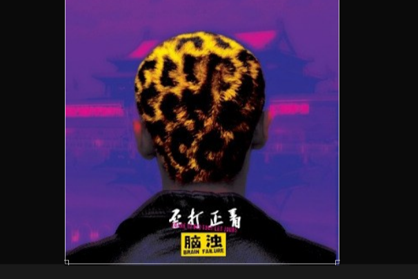 歪打正著(腦濁樂隊演唱專輯) 歪打正著(腦濁樂隊演唱專輯)