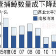 日本捕鯨業 日本捕鯨業