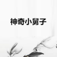 神奇小舅子 神奇小舅子