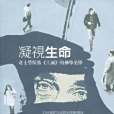 凝視生命 凝視生命