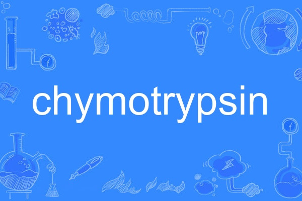 chymotrypsin chymotrypsin
