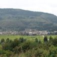 竹園村(雲南宜良縣湯池鎮下轄村) 竹園村(雲南宜良縣湯池鎮下轄村)