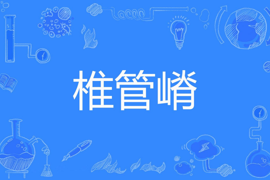 椎管嵴 椎管嵴