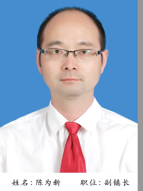 陳為新(建德市下涯鎮人民政府副鎮長、二級主任科員) 陳為新(建德市下涯鎮人民政府副鎮長、二級主任科員)