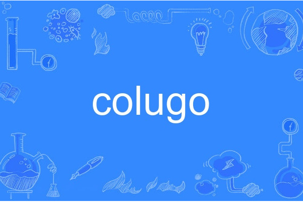 colugo colugo