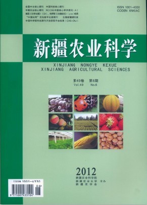 新疆農業科學
