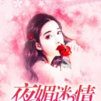 夜媚迷情 夜媚迷情