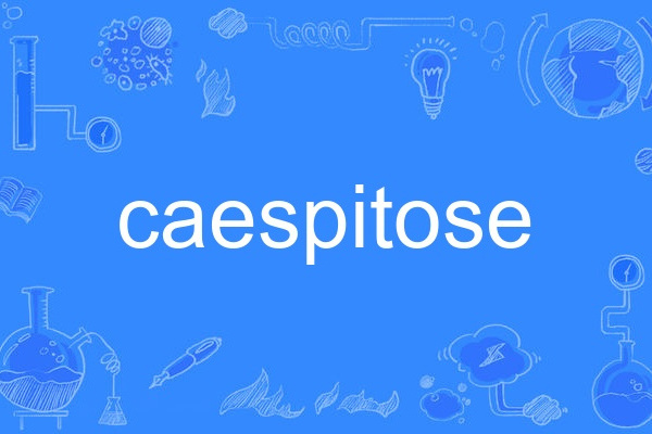 caespitose caespitose