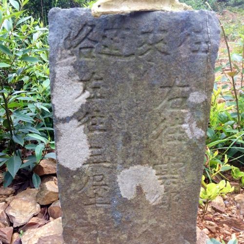 彩虹嶺(鶴山市彩虹嶺) 彩虹嶺(鶴山市彩虹嶺)