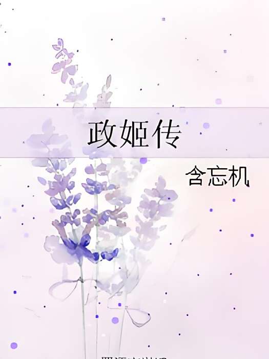 政姬傳 政姬傳