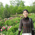 王婷(寶雞文理學院教師)