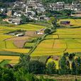 桃源村(雲南省大理州劍川縣甸南鎮下轄村)