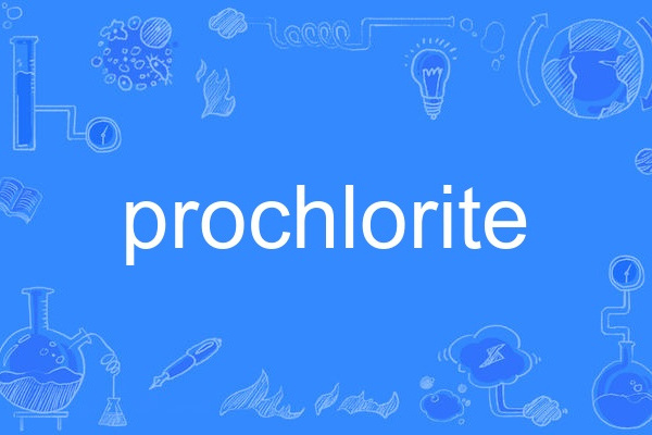prochlorite prochlorite