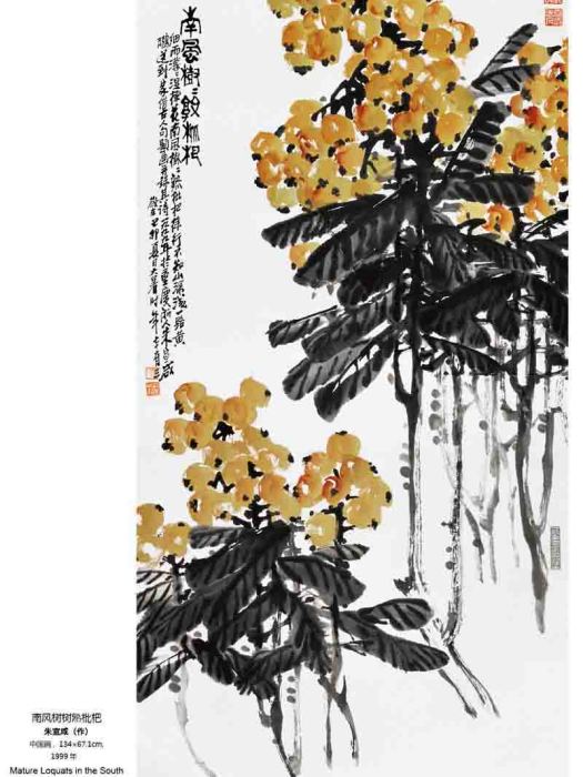 枇杷圖 枇杷圖