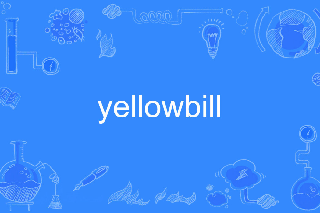 yellowbill yellowbill