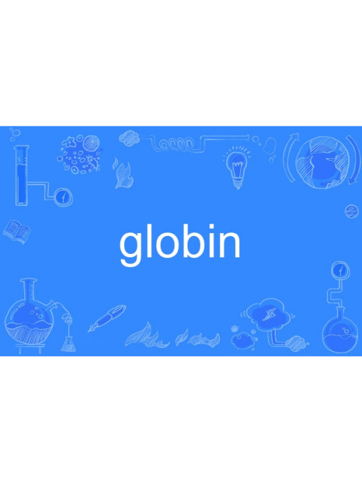 globin globin
