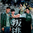 叛逃(TVB出品時裝警匪劇)