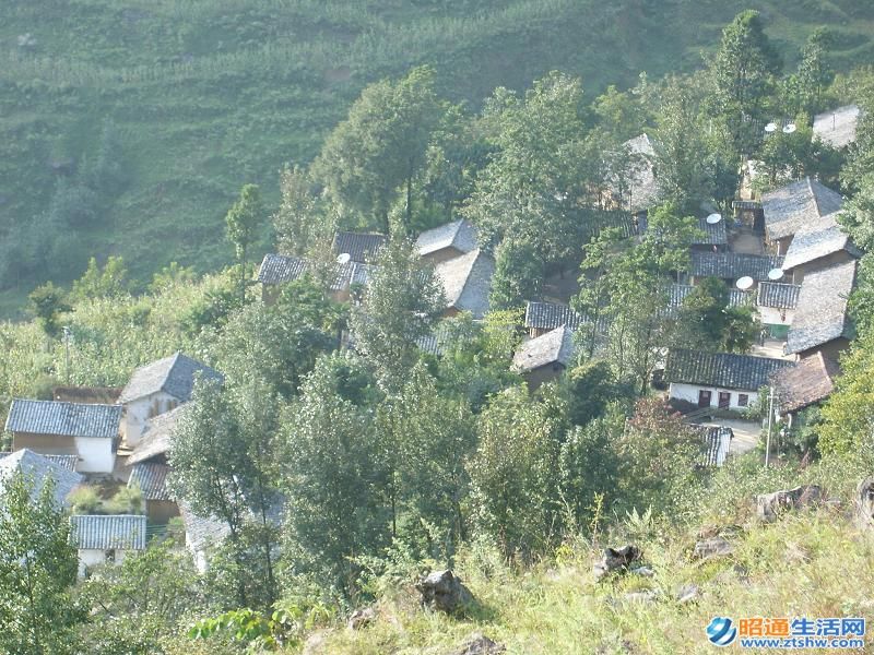 密所村 密所村