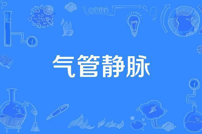 氣管靜脈 氣管靜脈