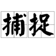 捕捉(漢語詞語) 捕捉(漢語詞語)