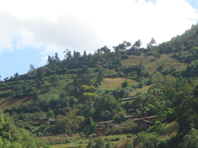 多姑箐村(雲南省姚安縣官屯鄉下轄村) 多姑箐村(雲南省姚安縣官屯鄉下轄村)