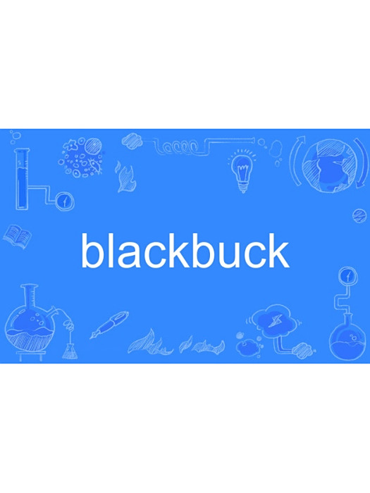 blackbuck(英語單詞,指印度羚) blackbuck(英語單詞,指印度羚)