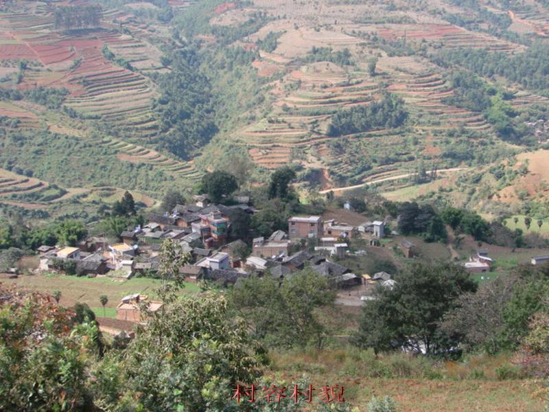 李資樹村 李資樹村