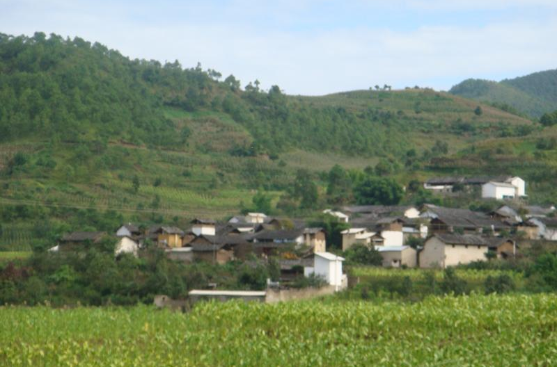 菖蒲塘村(雲南省開遠市馬者哨鄉馬者哨村委會菖蒲塘村)